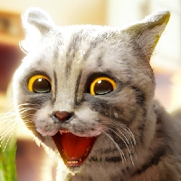 Cat Simulator 2