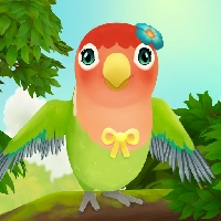 Bird BnB