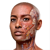 Complete Anatomy 2022