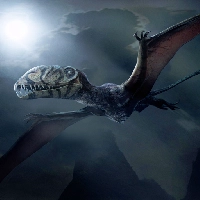 Dimorphodon Simulator