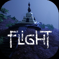 Flight