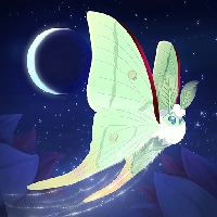 Flutter: Starlight