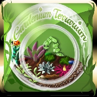 Gardenium Terrarium
