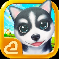 Hi! Puppies2