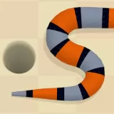A Snakes Tale