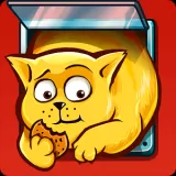 Cat on a Diet