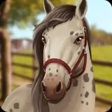 HorseHotel - Уход за лошадьми