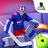 Puzzle Hockey