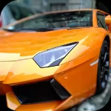 Real Simulation Experience