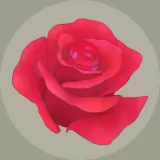 Rosas Garden