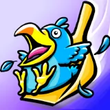 Scoopn Birds