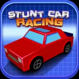 Stunt Car Arena Paid