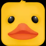 Zig Zag Duck
