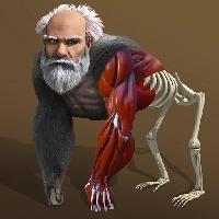Idle Evolution - from Cell to Human