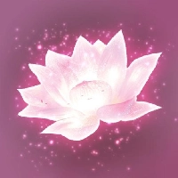 Lotus Digital