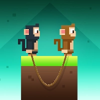 Monkey Ropes