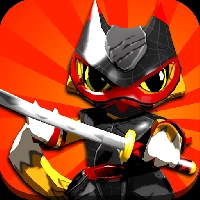 Ninja Kitty