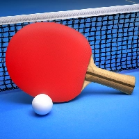 Ping Pong Fury