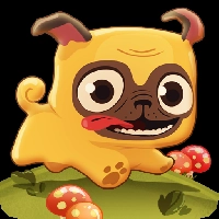 Pug Run