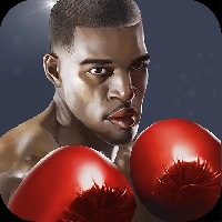 Punch Boxing 3D