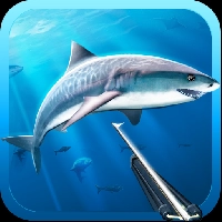 Spear Fishing