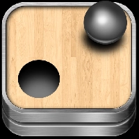 Teeter Pro