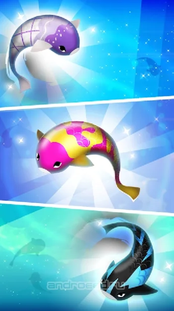 Zen Koi Pro - скриншот 2