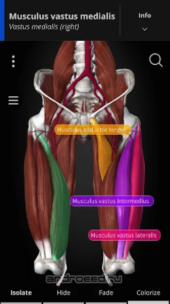 Anatomyka - 3D Anatomy Atlas - скриншот 2