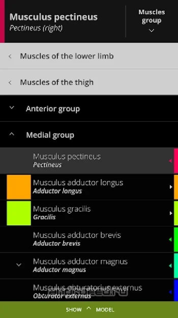 Anatomyka - 3D Anatomy Atlas - скриншот 5