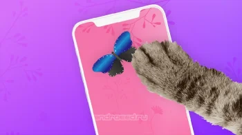 Игра для кошек: Мышь на экране - скриншот 2
