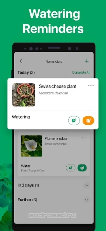 PictureThis растения признать - скриншот 5