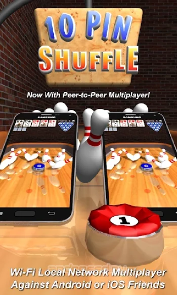 10 Pin Shuffle Bowling - скриншот 1