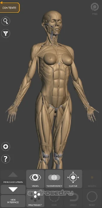 3D Анатомия для художников Lite - скриншот 4