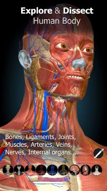 Anatomy Learning - 3D анатомический атлас - скриншот 1