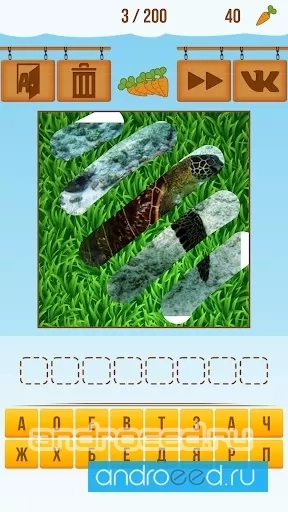 Animal Quiz 2015 - скриншот 2