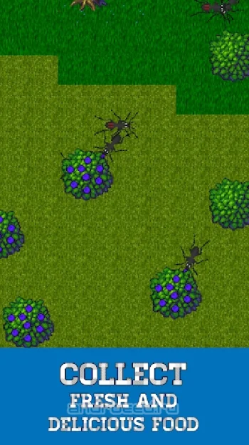 Ant Evolution - симулятор муравей - скриншот 2
