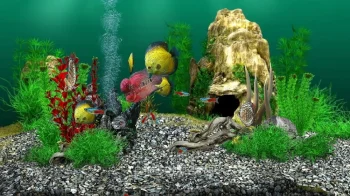 AquaLife 3D - скриншот 4