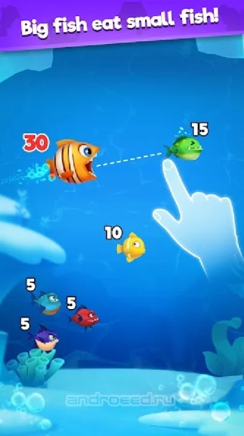 BIG FISH GO - скриншот 1