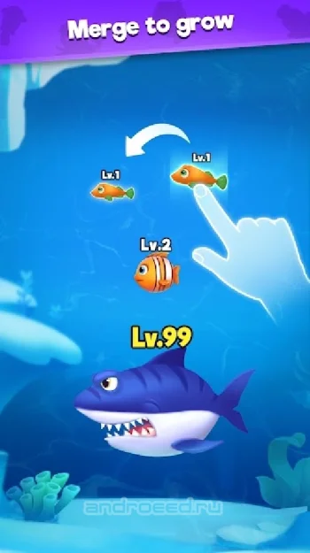 BIG FISH GO - скриншот 3