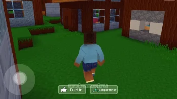 Block Craft 3D - скриншот 4