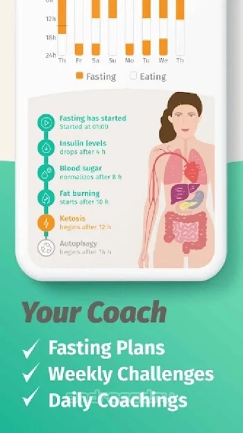BodyFast - интервальное голодание, Коуч - скриншот 4