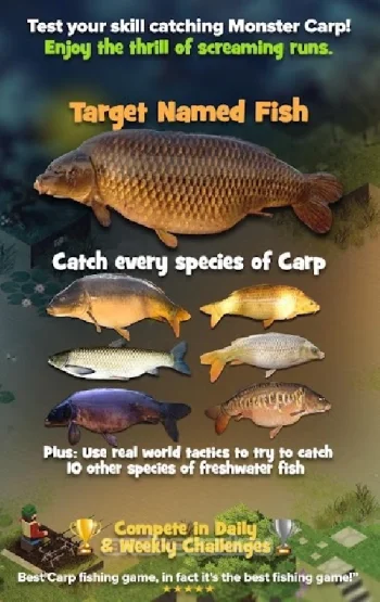 Carpcraft: Carp Fishing - скриншот 1