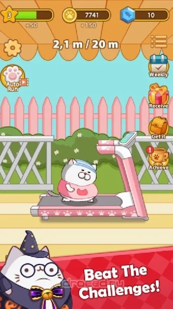 Cat Run - Kitty Rush - скриншот 2
