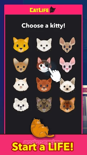 CatLife: BitLife Cats - скриншот 1