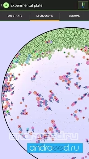 Cell Lab: эволюция и песочница - скриншот 3