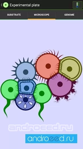 Cell Lab: эволюция и песочница - скриншот 5