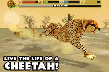Cheetah Simulator - скриншот 1