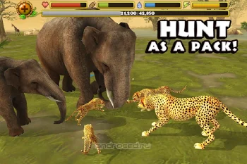 Cheetah Simulator - скриншот 2