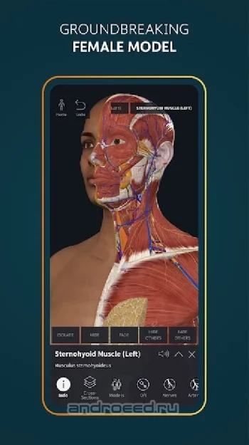 Complete Anatomy 2022 - скриншот 1