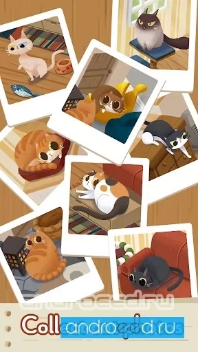 Cozy Cats - скриншот 4